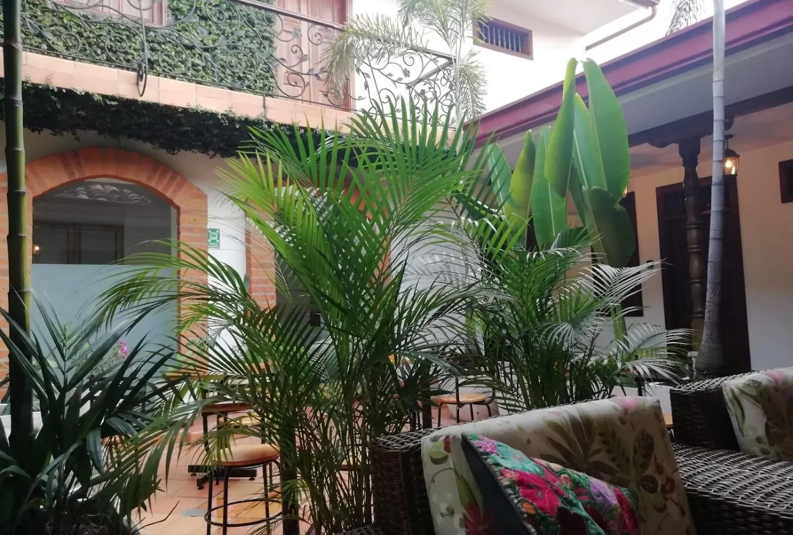 Bed and Breakfast Casa Carambolo Cali Kolumbia