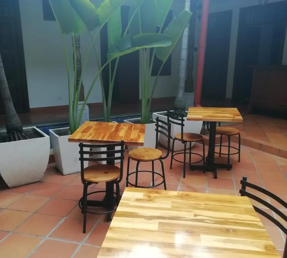 Casa Carambolo Bed & Breakfast Cali Colombia